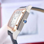 Santos de W3SA0012 fake